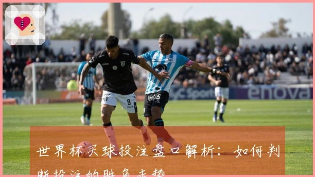 世界杯买球投注盘口解析：如何判断投注的胜负走势