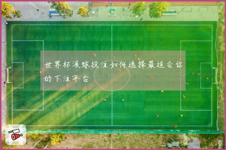 世界杯滚球投注如何选择最适合你的下注平台
