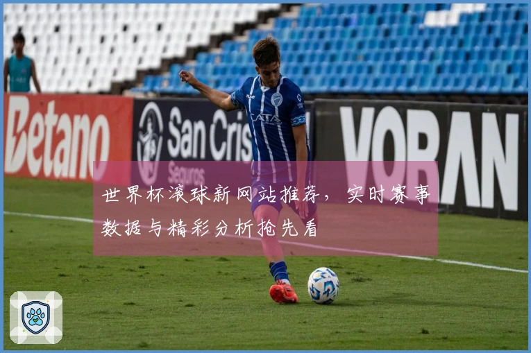 世界杯滚球新网站推荐，实时赛事数据与精彩分析抢先看