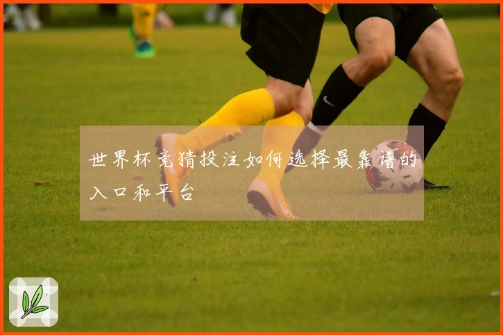 世界杯竞猜投注如何选择最靠谱的入口和平台