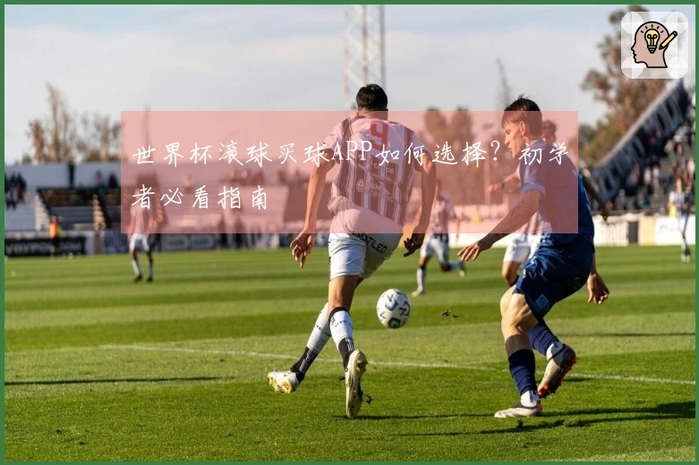 世界杯滚球买球APP如何选择？初学者必看指南