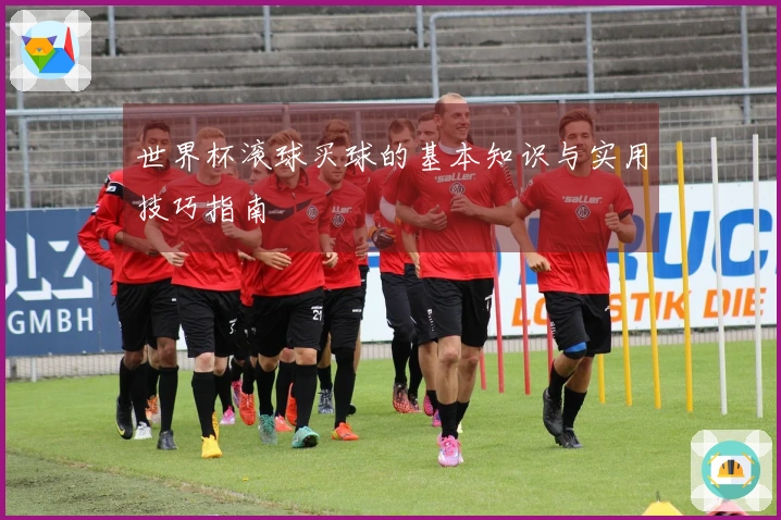 世界杯滚球买球的基本知识与实用技巧指南