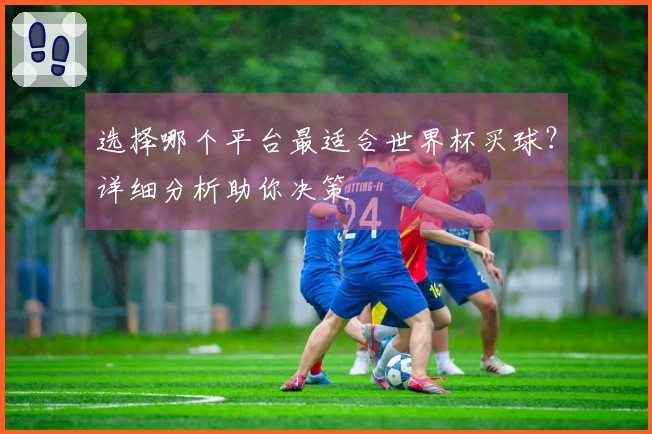 选择哪个平台最适合世界杯买球？详细分析助你决策
