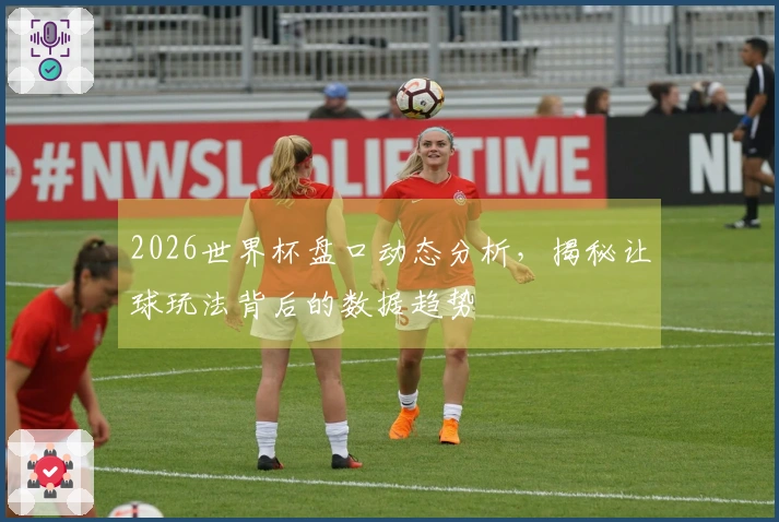 2026世界杯盘口动态分析，揭秘让球玩法背后的数据趋势