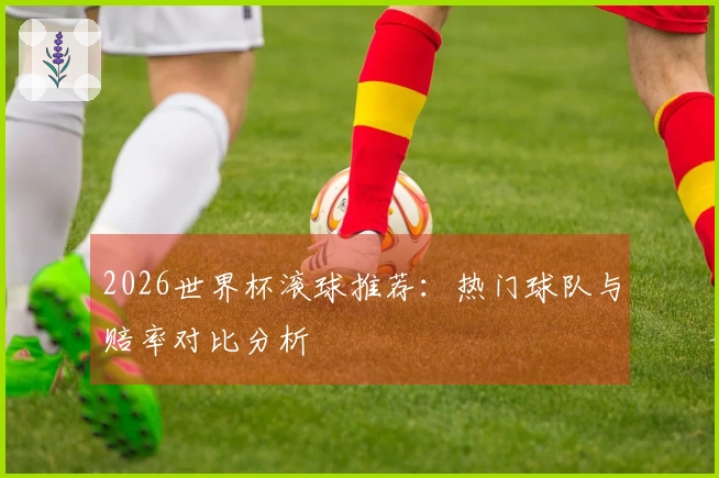 2026世界杯滚球推荐：热门球队与赔率对比分析